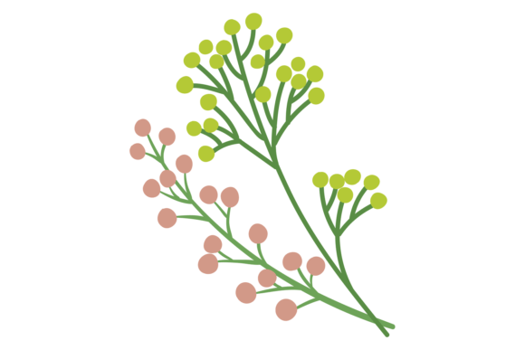 Blooming Branch: Graphics for Botanical Design