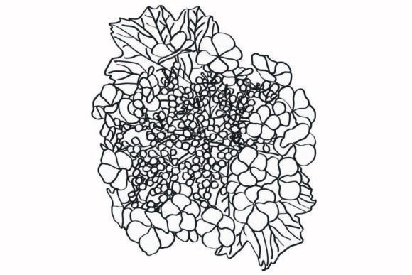 Decorative Flower Graphics and Illustrations