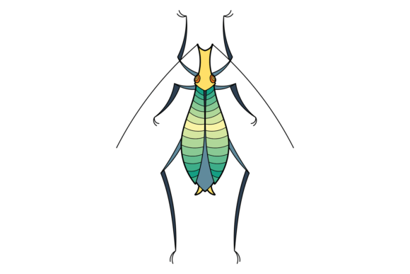 Green Bug. Decorative Natural Insect in Graphics