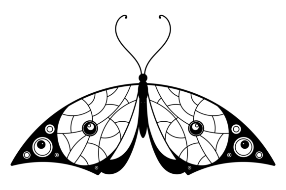 Patterned Wings Moth. Decorative Elegant